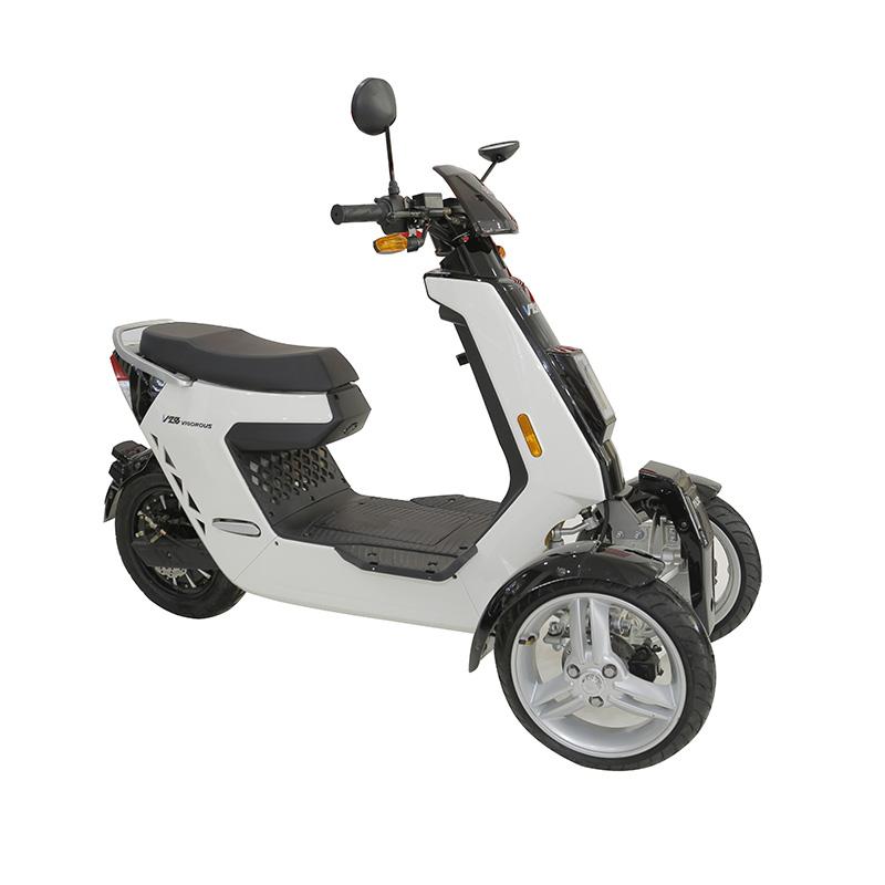 Electric scooter FM-V28