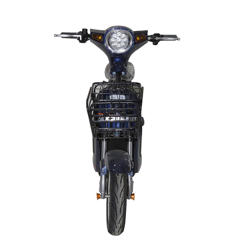 Electric scooter FM-F2